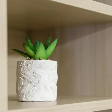 Cocciu D'amuri * Catania