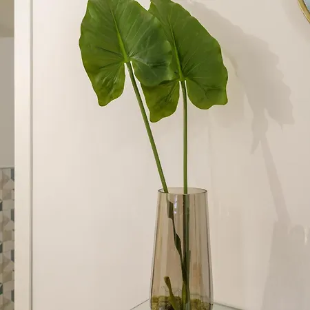 Cocciu D'amuri Apartment Catania